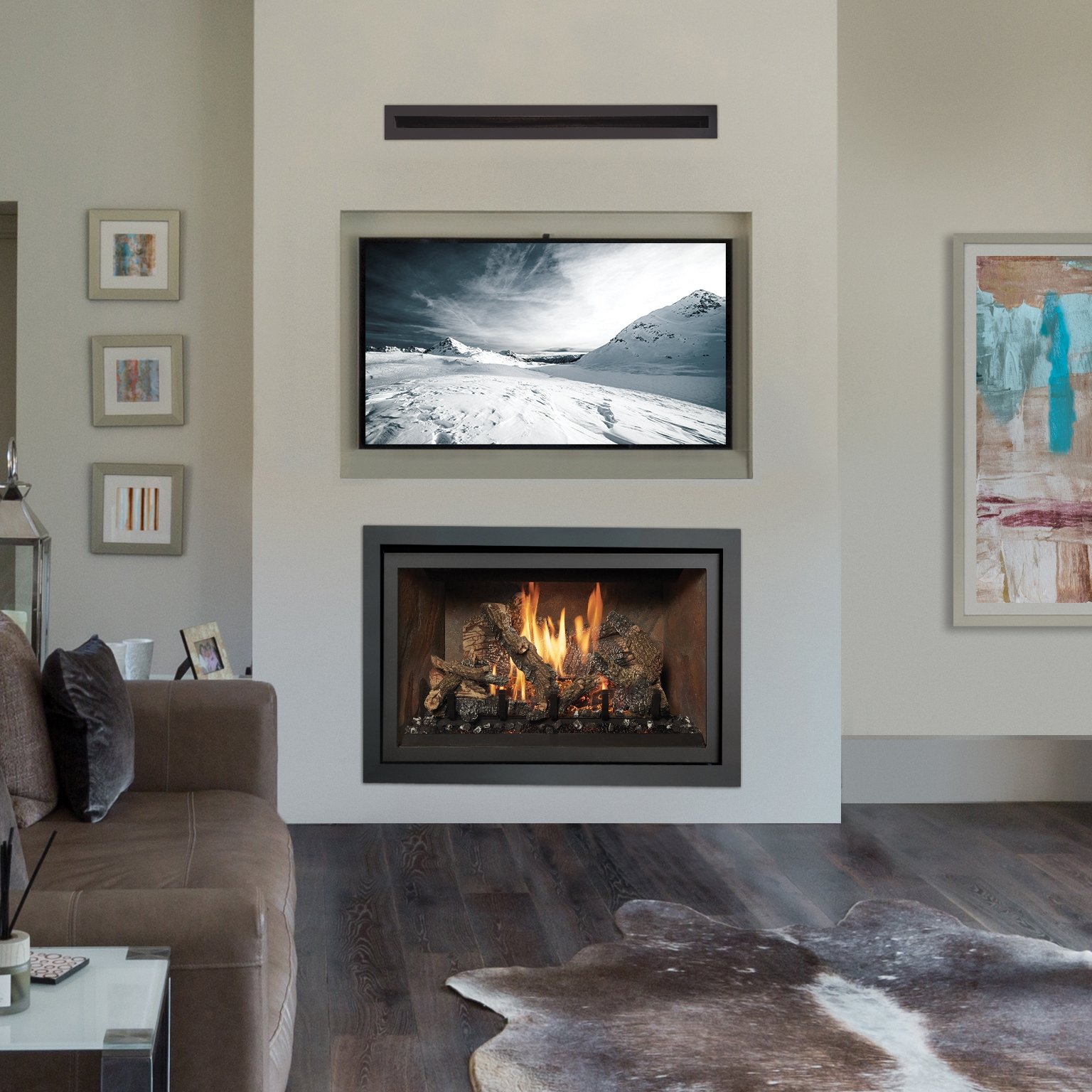 FPX gas insert with mounted TV